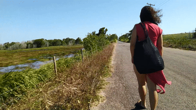 Through the Wolf's Eyes Torrent