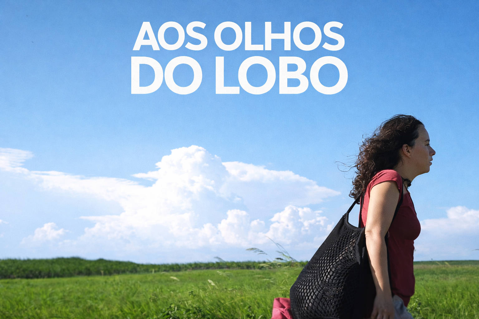 Through the Eyes of the Wolf